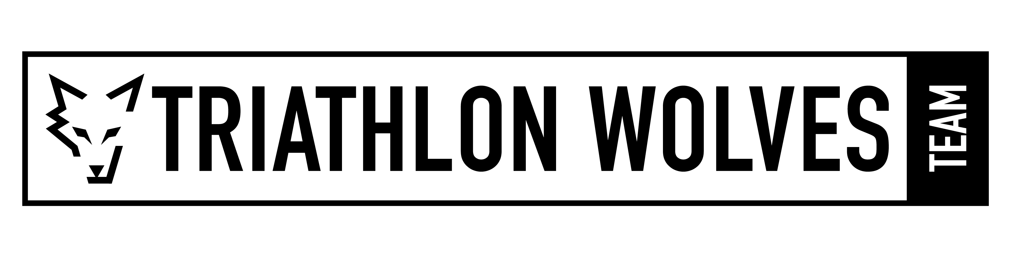 Triwolves Team